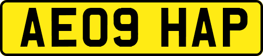 AE09HAP