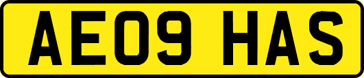 AE09HAS
