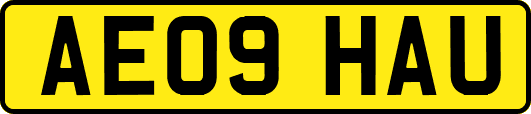 AE09HAU