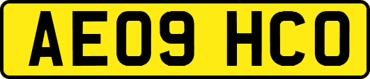 AE09HCO