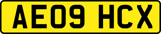 AE09HCX