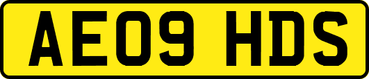 AE09HDS
