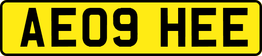 AE09HEE