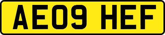 AE09HEF
