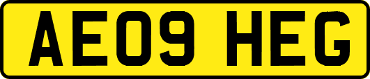 AE09HEG