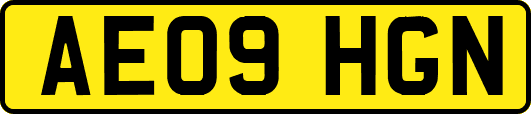 AE09HGN