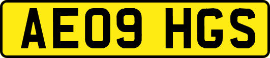 AE09HGS