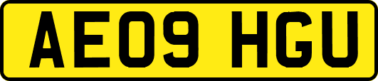 AE09HGU