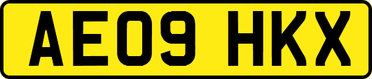 AE09HKX