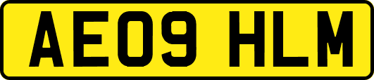 AE09HLM