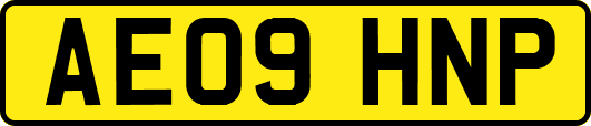 AE09HNP