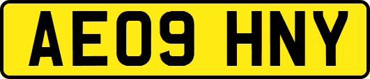 AE09HNY