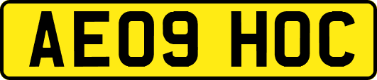 AE09HOC