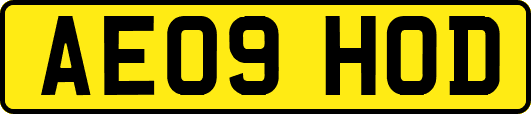 AE09HOD