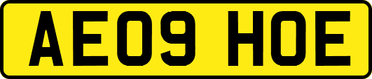 AE09HOE