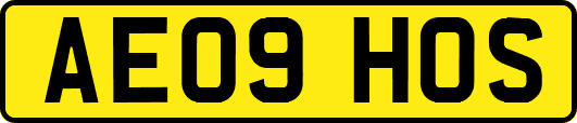 AE09HOS