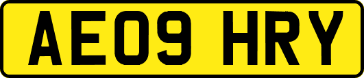 AE09HRY