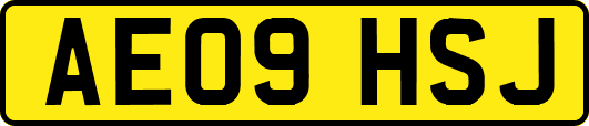 AE09HSJ