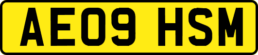AE09HSM