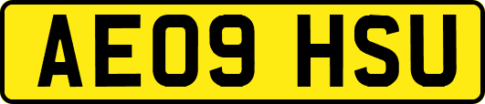 AE09HSU