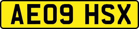 AE09HSX