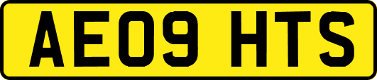 AE09HTS