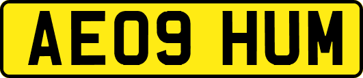 AE09HUM