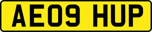 AE09HUP