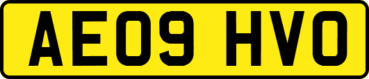 AE09HVO