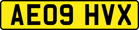 AE09HVX