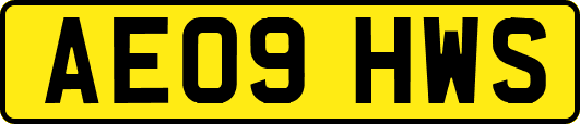 AE09HWS