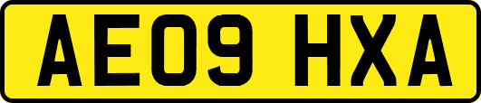 AE09HXA