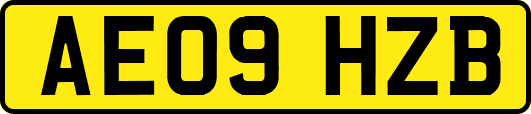 AE09HZB