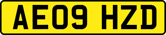 AE09HZD