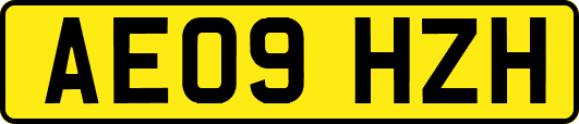 AE09HZH