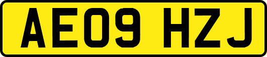 AE09HZJ