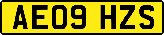 AE09HZS