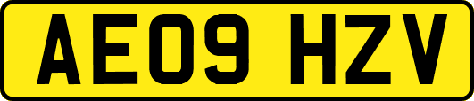 AE09HZV