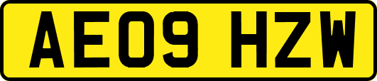 AE09HZW