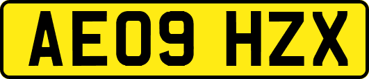 AE09HZX