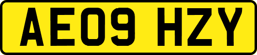 AE09HZY