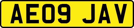 AE09JAV