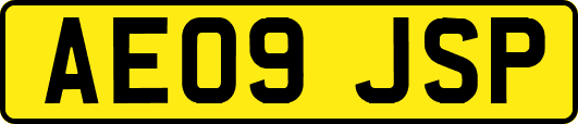 AE09JSP