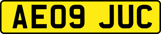 AE09JUC