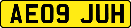 AE09JUH