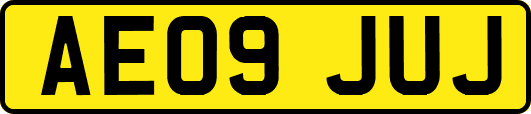 AE09JUJ