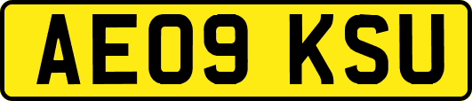 AE09KSU