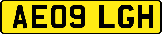 AE09LGH