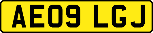 AE09LGJ
