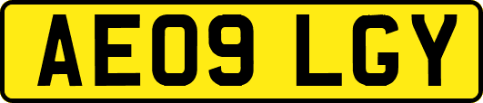 AE09LGY